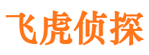 沙市外遇调查取证